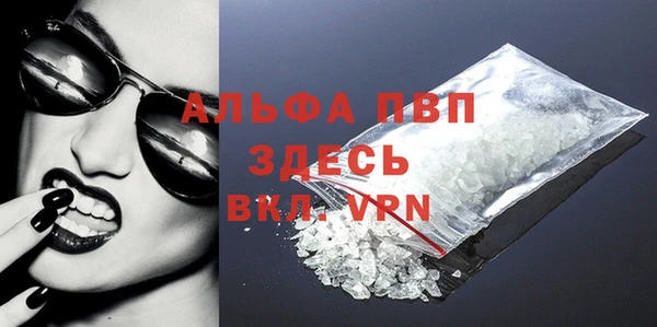 гашик Белокуриха