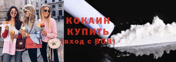 сатива Беломорск