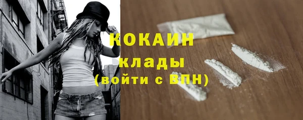 сатива Беломорск
