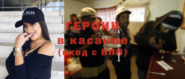 сатива Беломорск