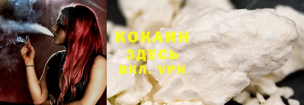 сатива Беломорск