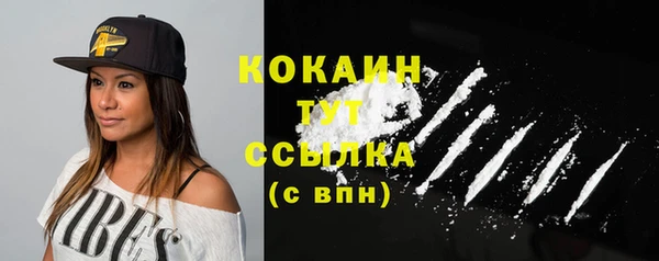 гашик Белокуриха