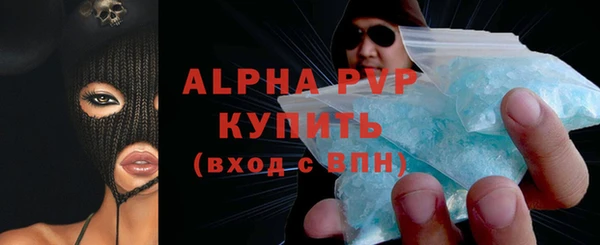 сатива Беломорск