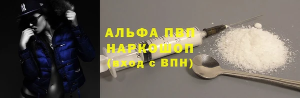 гашик Белокуриха