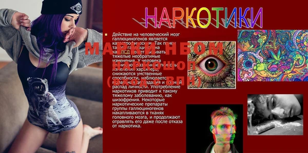 сатива Беломорск