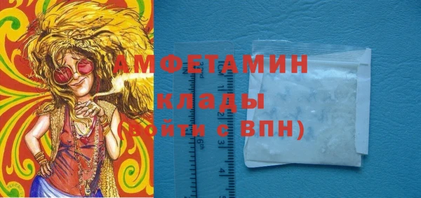 сатива Беломорск