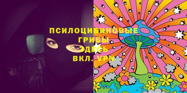 гашик Белокуриха
