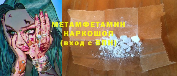 сатива Беломорск