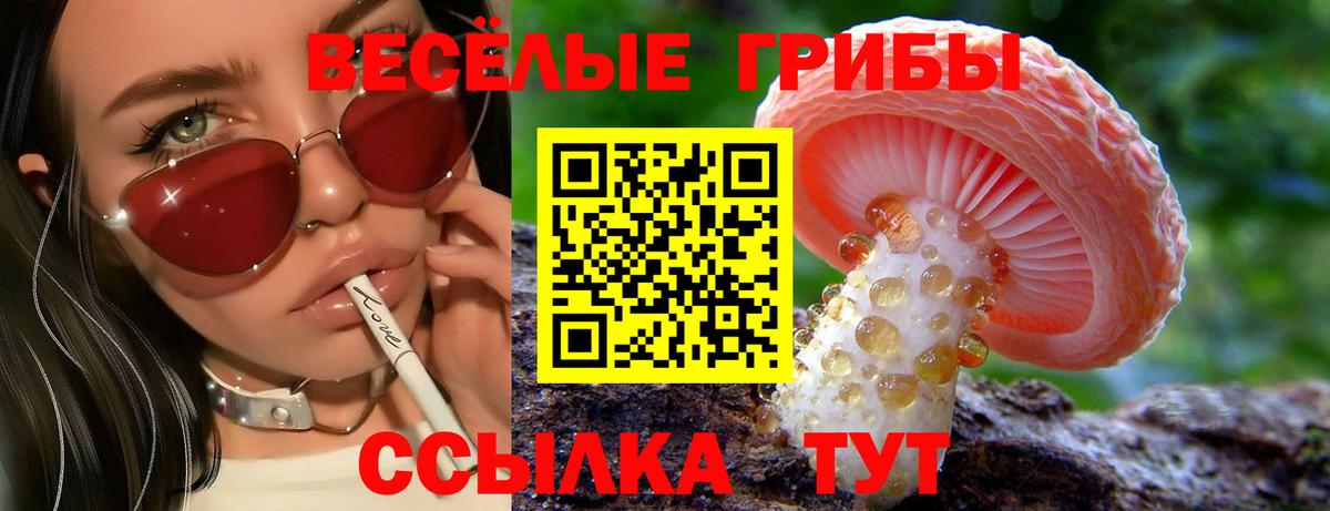 Галлюциногенные грибы GOLDEN TEACHER Гулькевичи